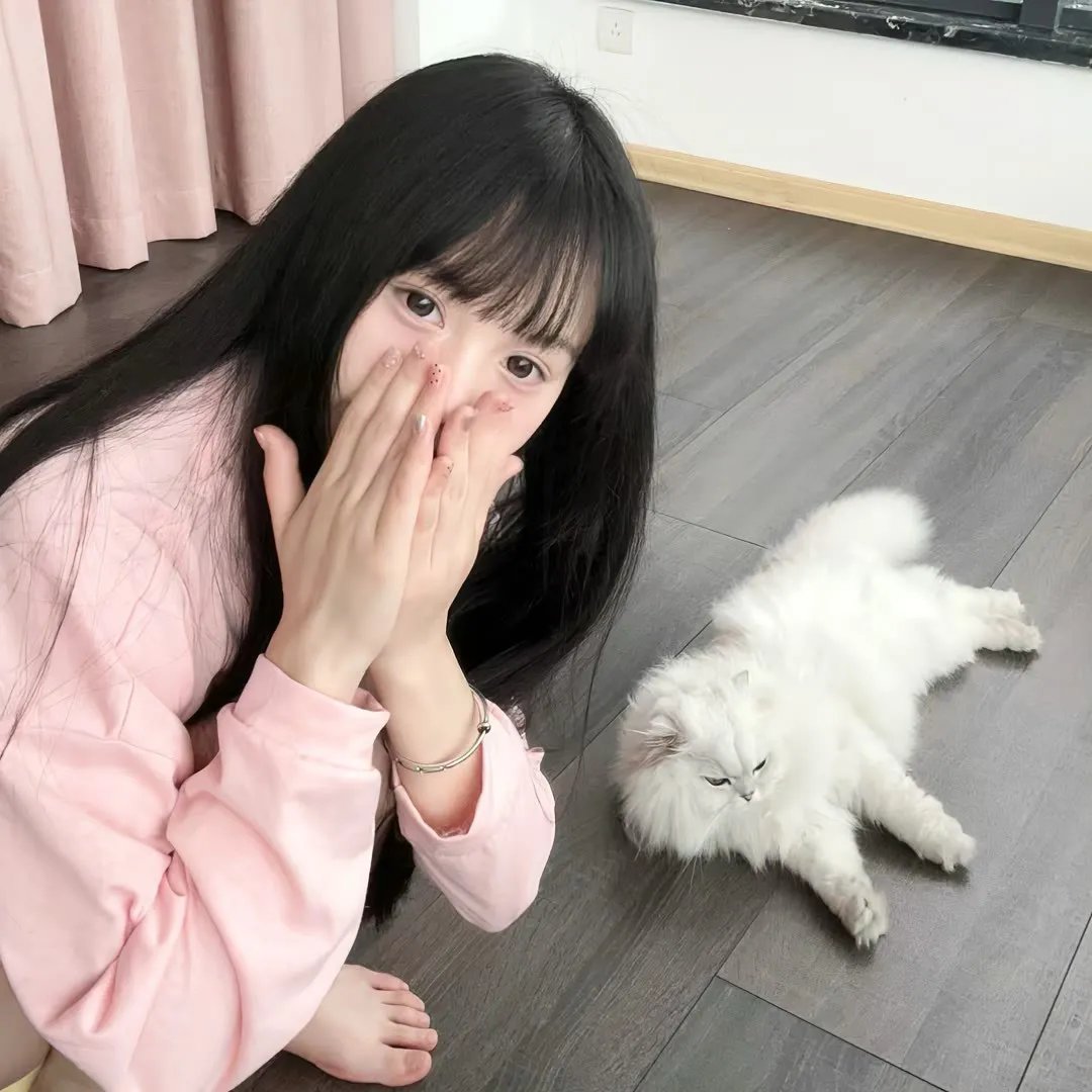 明星2